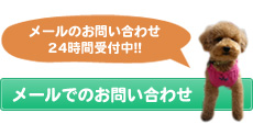 メールでのお問い合わせはこちら