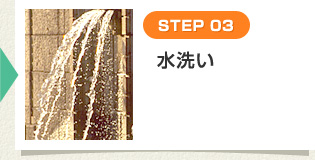 [STEP 03] 水洗い