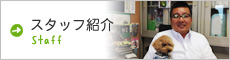 スタッフ紹介